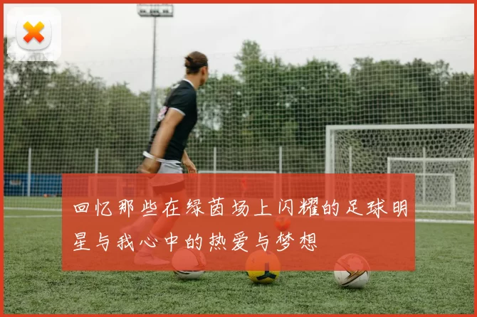 回忆那些在绿茵场上闪耀的足球明星与我心中的热爱与梦想