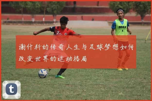 谢什科的传奇人生与足球梦想如何改变世界的运动格局